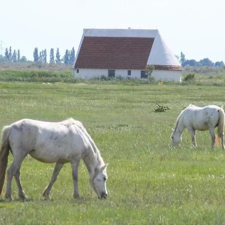 Chez Marinette * Le Cailar